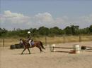 For The Love Of Horses For The Love Of Horses