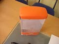 SONY ERICSSON W800i SONY ERICSSON W800i