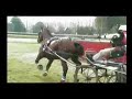 CAIB Traits Lisieux 2007-marathon