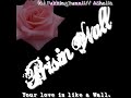 Prisin Wall - Solid Base