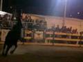 FIRA SANT JAUME REUS 2008 - VINCENT LIBERATOR (1)