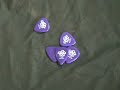 pick gnomes