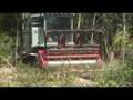 The Power to Mulch II