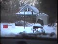 Plow Man Throttling  up his  1978 Dodge Plow Truck