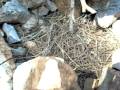 BEAR GRYLLS MISSIONE CROAZIA 3