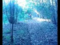 biking@henis biking@henis