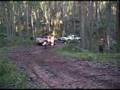 Dargo 2006 C