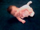 Ranin rollover