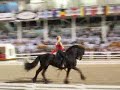 Part 2 Exhibition Friesen Stallion \"Illiad\" at Dressage at D