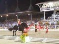 Part 2 Exhibition Friesen Stallion Illiad at Dressage at D