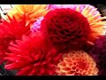 Nova Scotia Travel:Travel Halifax. Nova Scotia TVP