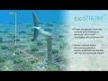 bioSTREAM Tidal Power System