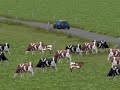 OSLÍ -pb..wmv