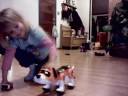 Tekno The Puppy -Tekno  Robotic Dog