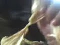 \"Como cortar un pollo por...Alan Salazar\"Part 2