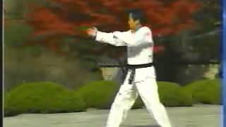 taekwondo poomse 9 koryo