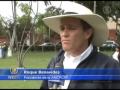 El caballo peruano de paso