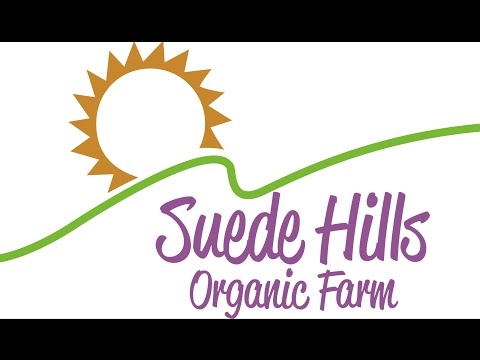 Health Benefits of Suede Hills pH Happy Caps Health Benefits of Suede Hills pH Happy Caps