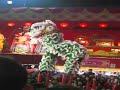 Shishimai, Lantern Festival 2007
