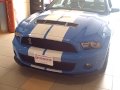 Grappone Ford's New Shelby