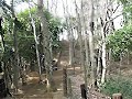 今日も森林公園でお散歩三昧