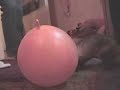 Candy Matson the Frolicsome Ferret First Birthday