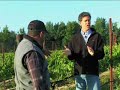 Sonoma County Winegrape Chronicles - Episode 2