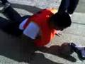 videos de gordão na educação