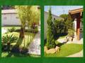 videos de Mundo Verde Paisagismo e Jardinagem