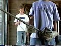 Mike Bairds Music Video