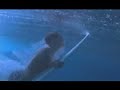 Novell Chaos Commercial Novell Chaos Commercial