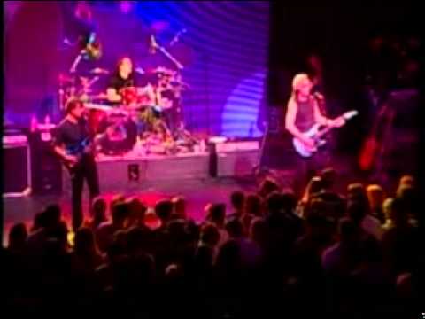 how to patch buffalo grass