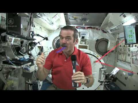 Teeth - Visit my website at http://www.junglejoel.com - astronaut Chris Hadfield brushes his teeth while weightless aboard the International Space Station. Please ra...