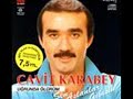 Cavit Karabey- Sevdigim Kiz Gelin Olmus
