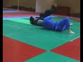 http://www.akban.org/wiki/index.php/Category:Nage-waza_(%E6%8A%95%E3%81%92%E6%8A%80):_throwing_techniques Part of the Akban-wiki project of documenting martial arts.