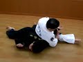 Jitsu Arm Bars