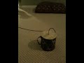Sadie v. Thunder Drum