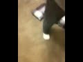 Do the stanky leggg