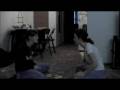 videos de Aggressive Behavior