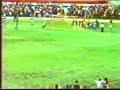 Paraz�o 96(Le�o Campe�o)
