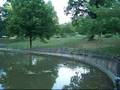 videos de Der Große Teich im Volkspark Berlin - Friedrichhain