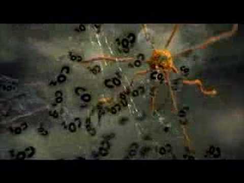 Image de prévisualisation YouTube