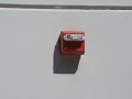 Wheelock ETWP Speaker Strobe