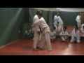 Click here to watch this video Examen de cinturón marrón de Ju Jutsu:Antonio Eduardo Sevilla Gómez