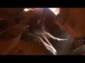 videos de Swami Kriyananda -  