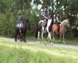 videos de Lits+Lauwers007 Mâlewei06