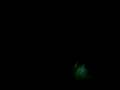 gdfdf