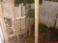videos de Destination Cabawan