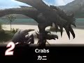 Monster Hunter Bullshit 2 (5-1) - ???????????????????????? Monster Hunter Bullshit 2 (5-1) - ????????????????????????