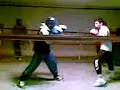 Ionut-boxerul-Aradul